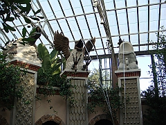 443 Longwood Gardens [2008 August 23]